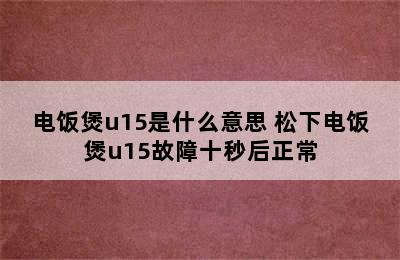 电饭煲u15是什么意思 松下电饭煲u15故障十秒后正常